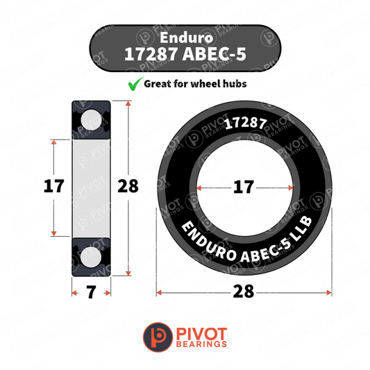 17287 MRA Enduro AC Radial Bearing
