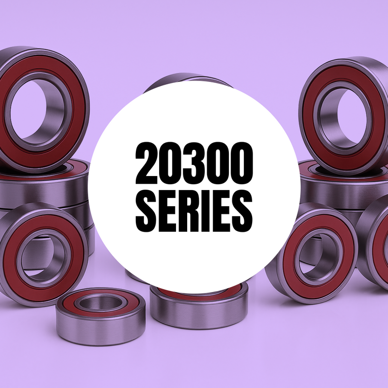 20300 Series Pivot Bearings