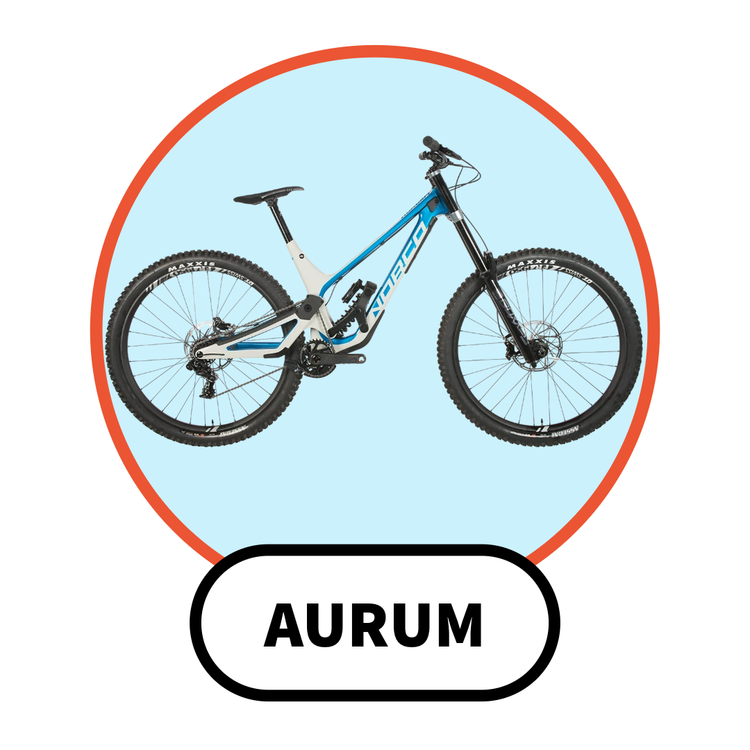 Norco Aurum Pivot Bearing Kits