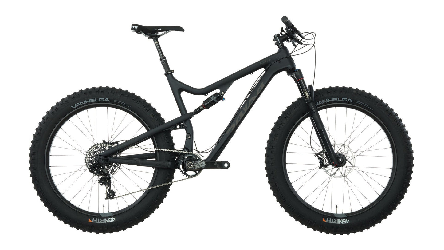 Salsa Bucksaw 2015-2019 Pivot Bearing Kit